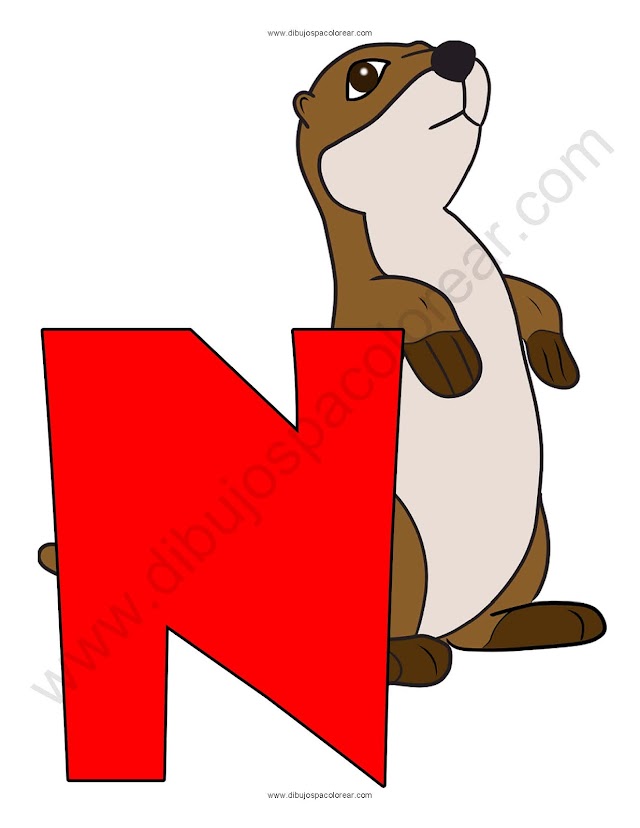 Letra N Nutria abecedario dibujo a color y para colorear